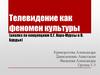 Телевидение как феномен культуры (анализ по концепциям С.Г. Кара-Мурзы и П. Бурдье)
