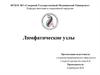 Лимфатические узлы