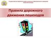 Правила дорожного движения пешеходов