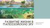 Развитие жизни в палеозойскую эру