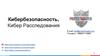 Кибербезопасность. Кибер расследования