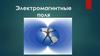 Электромагнитные  поля