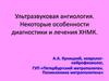 Ультразвуковая ангиология. Некоторые особенности диагностики и лечения ХНМК
