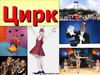 В цирке