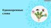Однокоренные слова