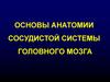 Основы анатомии сосудистой системы головного мозга