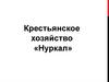 Крестьянское хозяйство «Нуркал»