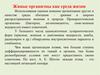 Живые организмы как среда жизни