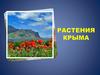 Растения Крыма