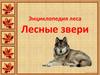 Энциклопедия леса. Лесные звери