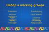 Набор в working groups
