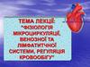 Фізіологія мікроциркуляції, венозної та лімфатитчної системи, регуляція кровообігу