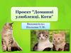 Домашні улюбленці. Коти