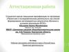 Аттестационная работа. Рабочая программа элективного курса «Русский язык. Проектная деятельность»