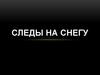 Следы на снегу