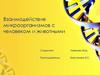 Взаимодействие микроорганизмов с человеком и животными