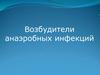 Возбудители анаэробных инфекций