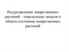 Ресурсоведение лекарственных растений – определение запасов и общего состояния лекарственных растений