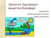 Экология. Круговорот веществ в биосфере