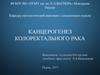 Канцерогенез колоректального рака