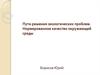Пути решения экологических проблем. Нормированное качество окружающей среды