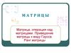 Матрицы. Определения