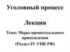 Меры процессуального принуждения (Раздел IV УПК РФ)