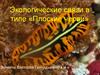 Экологические связи в типе «Плоские черви»