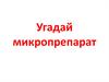 Угадай микропрепарат
