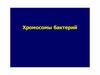 Хромосомы бактерий