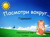 Горизонт. Окружающий мир 2 класс