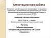 Аттестационная работа. Рабочая программа внеурочной деятельности в 4 классе «Экология»