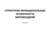 Структурно-функциональные особенности митохондрий
