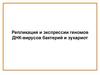 Репликация и экспрессии геномов ДНК-вирусов бактерий и эукариот