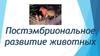 Постэмбриональное развитие животных