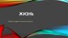 Жизнь. Вечные ценности