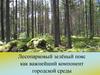 Лесопарковый зелёный пояс как важнейший компонент городской среды