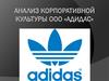 Анализ корпоративной культуры ООО «Адидас»