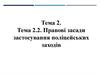 Превентивні поліцейські заходи