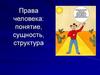 Права человека. Понятие, сущность, структура