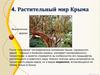 Растительный мир Крыма