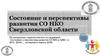 Состояние и перспективы развития СО НКО Свердловской области