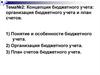Концепция бюджетнoго учета: организация бюджетного учета и план счетов