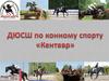 ДЮСШ по конному спорту «Кентавр»