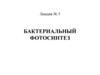 Бактериальный фотосинтез