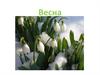 Времена года. Весна