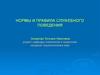 Нормы и правила служебного поведения