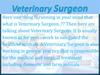 Veterinary Surgeon