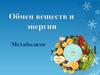 Обмен веществ и энергии. Метаболизм
