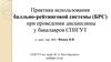 Практика использования балльно-рейтинговой системы (БРС) при проведении дисциплины у бакалавров
